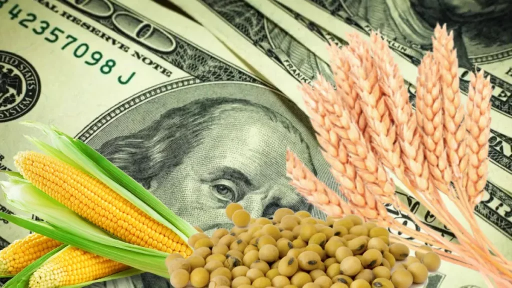 dólar, Luis Caputo, números, agro, campo, dólares, 2024