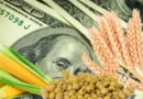 dólar, Luis Caputo, números, agro, campo, dólares, 2024