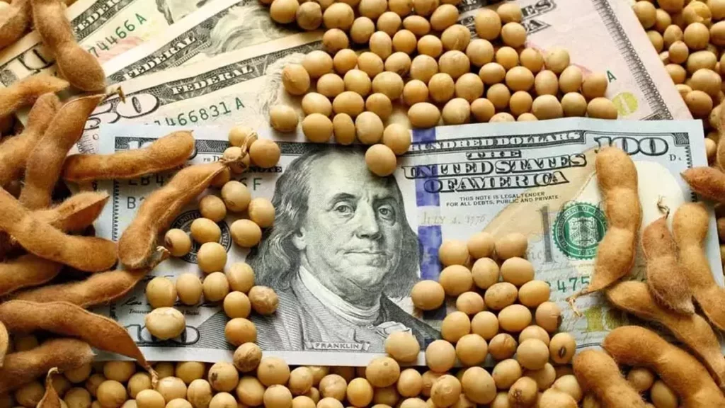 dólar, cadenas agroindustriales, agrodólares, soja