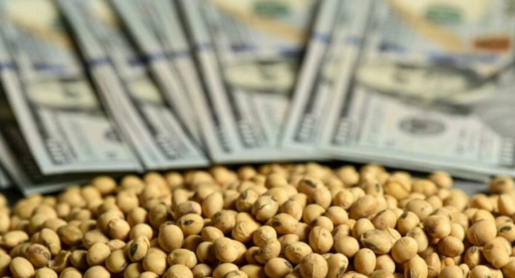 dólar exportador, FMI, gobierno, agro