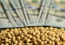 dólar exportador, FMI, gobierno, agro