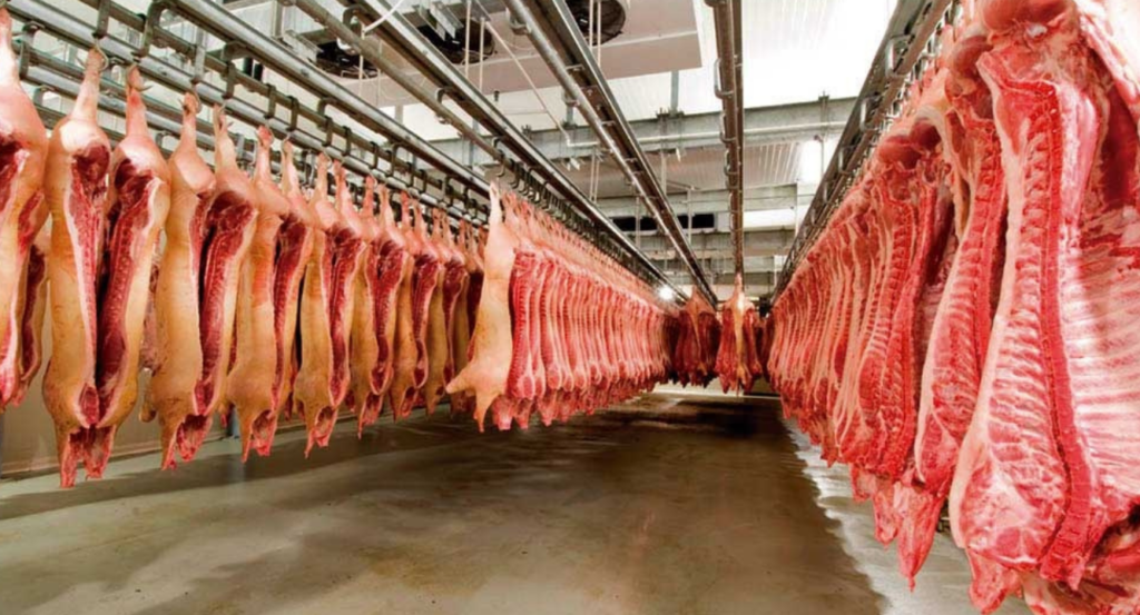 Exportación carne