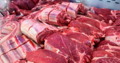 consumo, carne bovina, abril