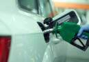Combustible, Biocombustibles, precios, biodiesel, gobierno