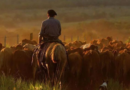 trabajadores rurales, prestación desempleo, salario, peón rural, obra social