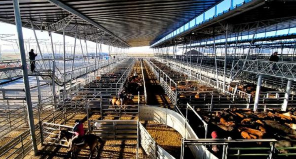 Cañuelas, Mercado, valores, mayo