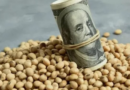 agrodólares, soja, maíz, trigo, mercado, granos, Chicago, Rosario, desregulaciones, exportaciones, dólares, liquidación, campo