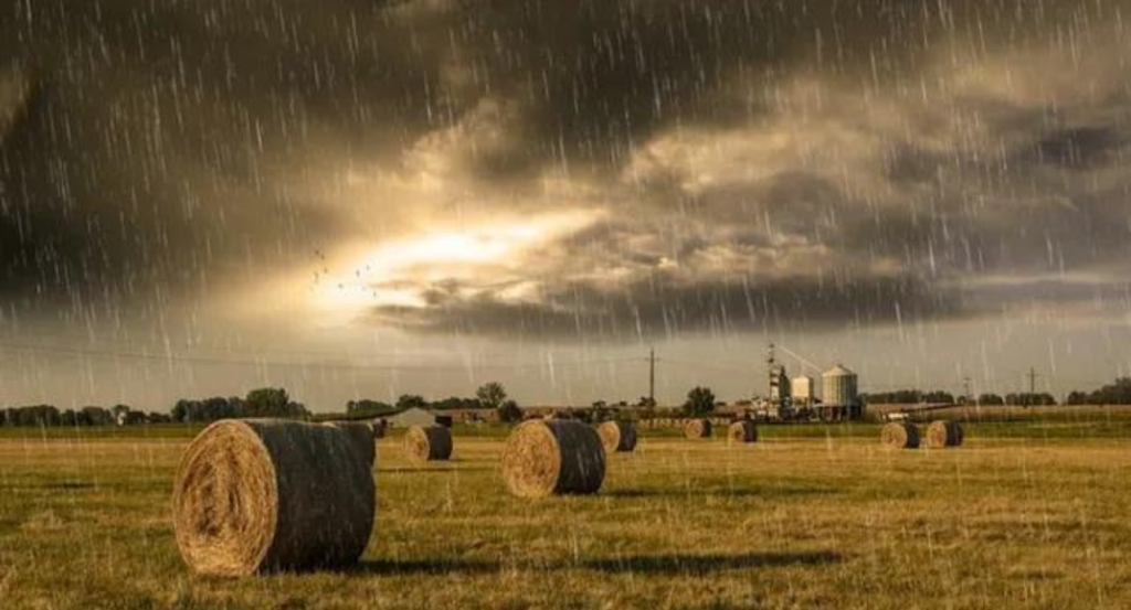 invierno, 2024, Lluvias, pronostico, clima,