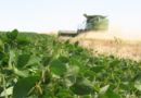 Cosecha, soja, 8 años, atraso