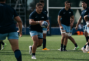 Los Pumas