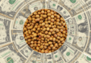 Dólar, exportación, cereales, liquidación, divisas, agro, mayo