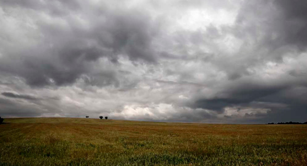 Clima, Invierno 2024, campo