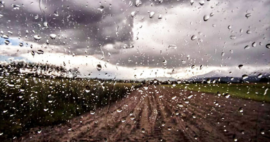 Lluvias, campo