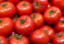 Tomate