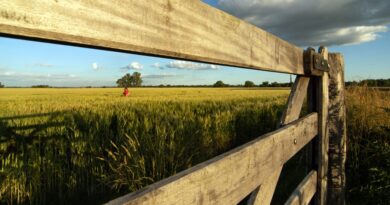 agro, retenciones, impuestos