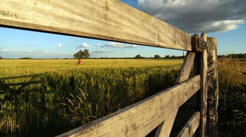 agro, retenciones, impuestos