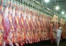 carne vacuna, feedlots, oferta, exportaciones