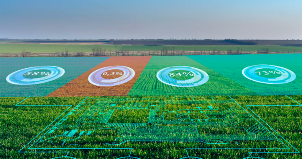 granos, argentina, producción, inteligencia artificial