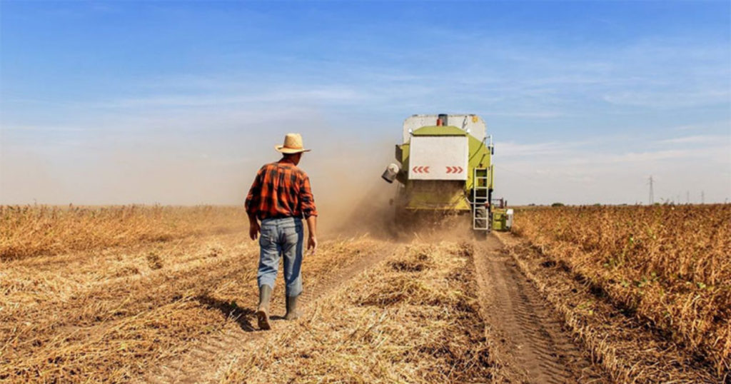 salario, agro, gobierno