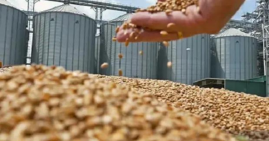 exportaciones, agro, divisas