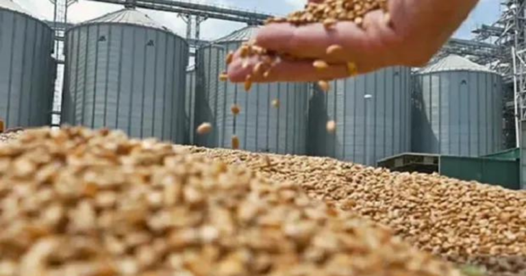 exportaciones, agro, divisas