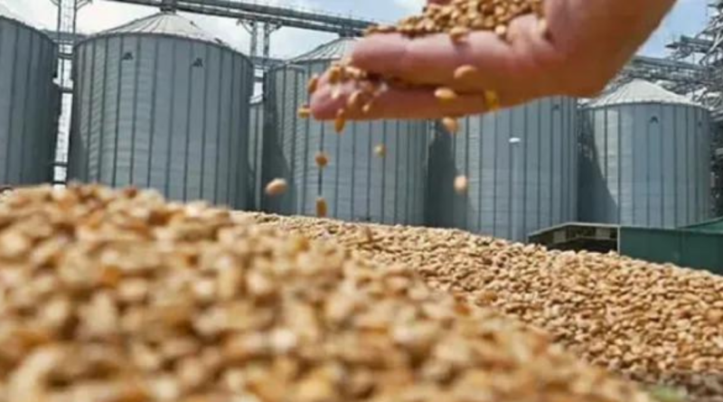 exportaciones, agro, divisas