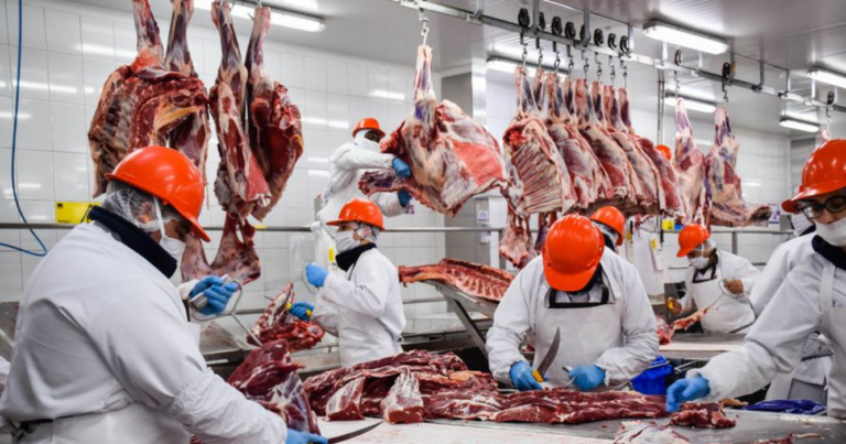 exportaciones, agro, carne