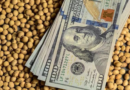 dólar, exportador, Banco Central, agro, dólares