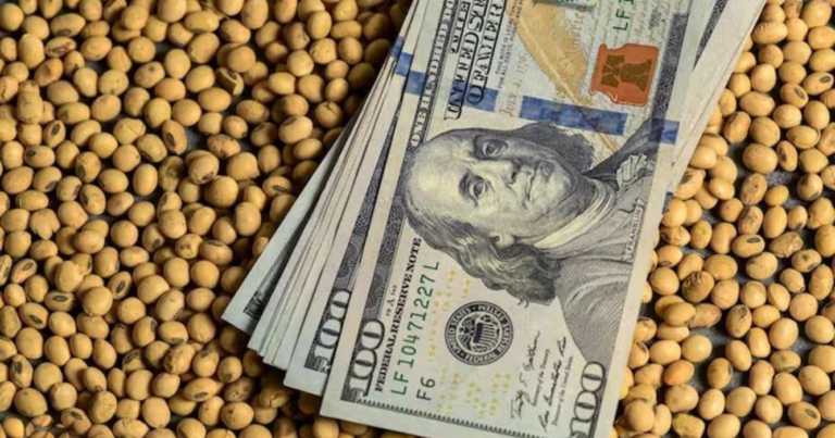 dólar, exportador, Banco Central, agro, dólares