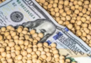 agrodólares, campo, financiamiento, dólar, Luis Caputo, números, agro, campo, dólares, agro argentino, agroexportaciones