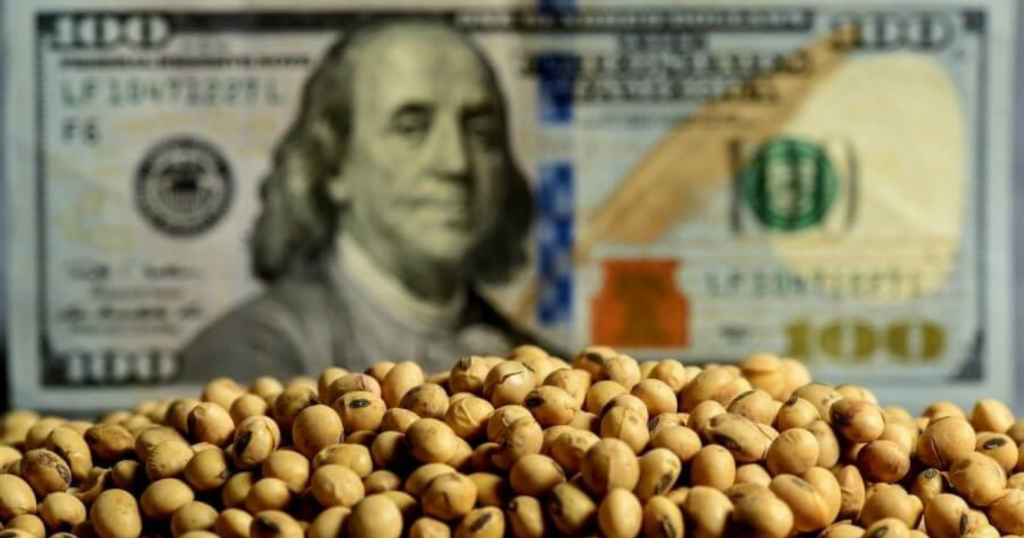 dólar, exportador