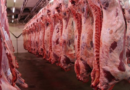 Faena, bovinos, 2024, Exportaciones, carne, Europa, Israel, Argentina, crecimiento, Javier Milei, superávit, frigoríficos, regulaciones, eliminación, Santa Fe, consumo, vacunos