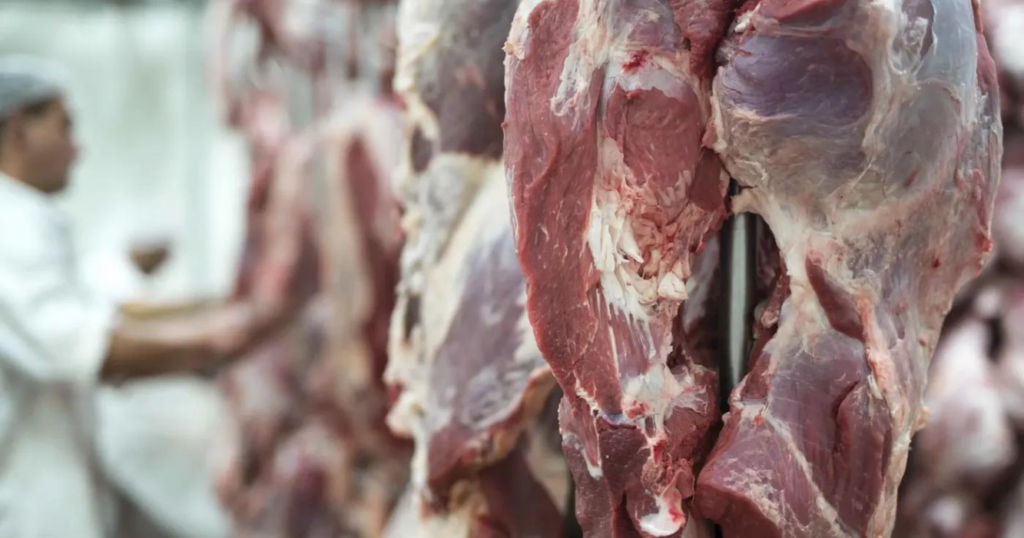 carne, dólares, Luis Caputo, Brasil