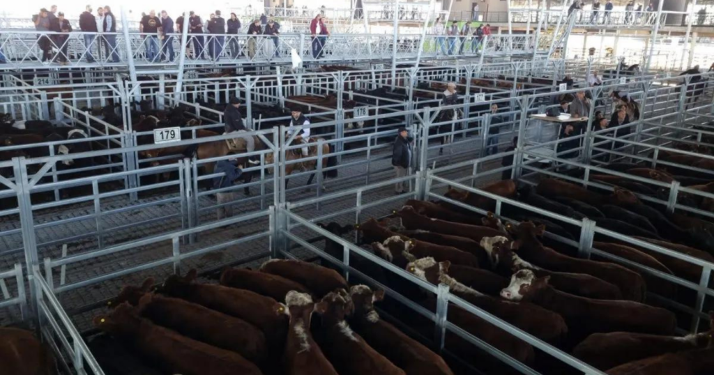Mercado, Cañuelas, hacienda