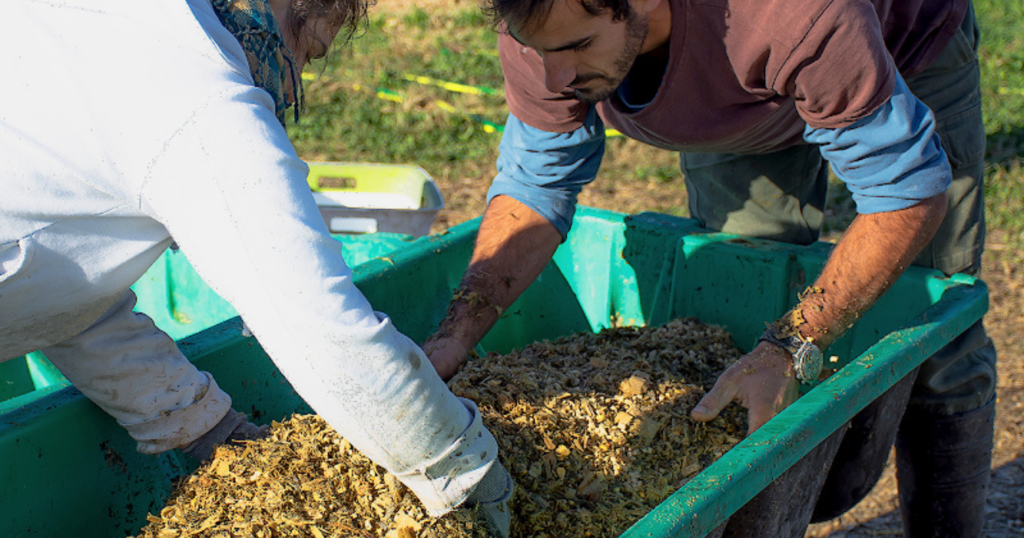 cascarilla de soja, estado sanitario, consumo, vacas