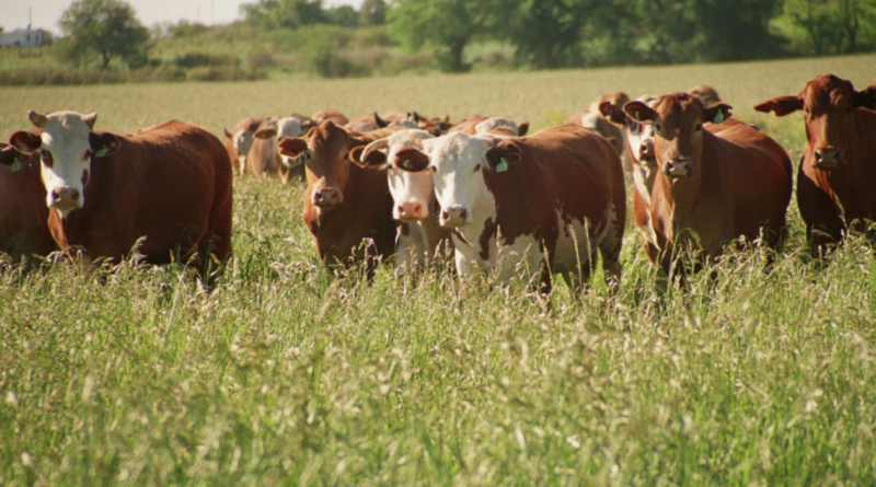 Federacion, agro, crecimiento