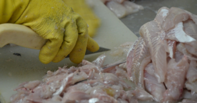 Semana Santa, pescado, consumo, pesca