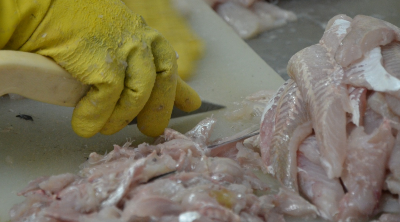 Semana Santa, pescado, consumo, pesca