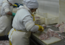Semana Santa, pescado, consumo, pesca ilegal