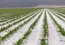 Granizo, tormentas