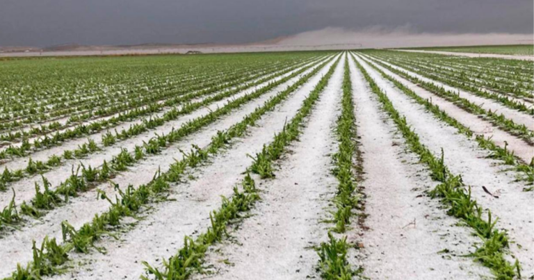 Granizo, tormentas