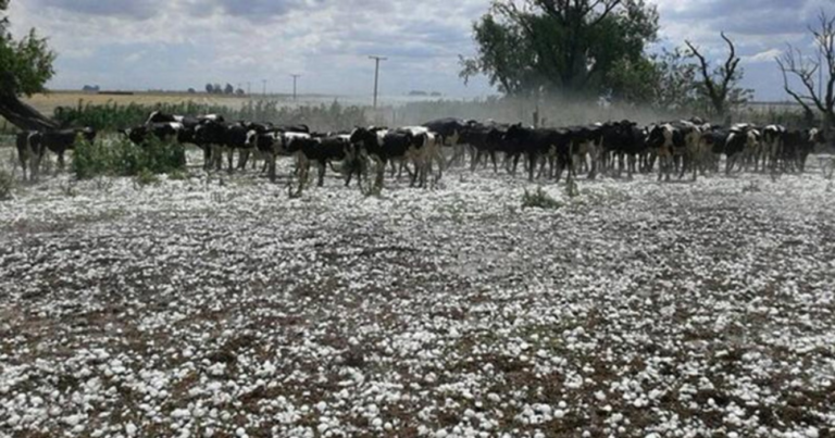 Granizo, tormentas, Entre Ríos