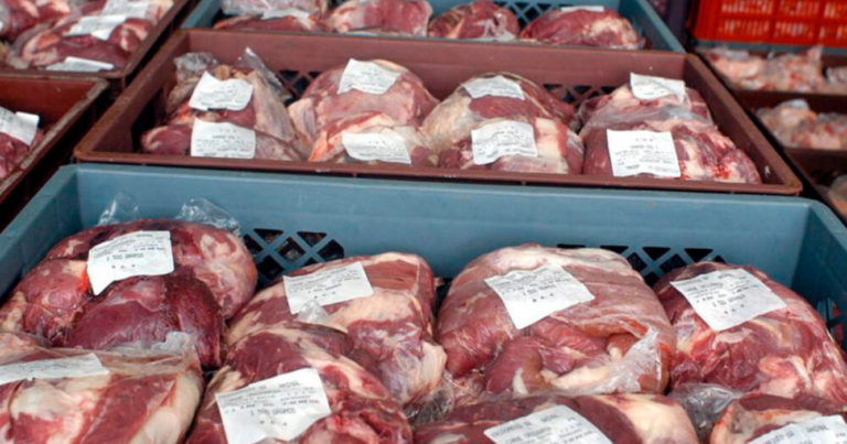 Exportaciones, carne vacuna, campo, exportación
