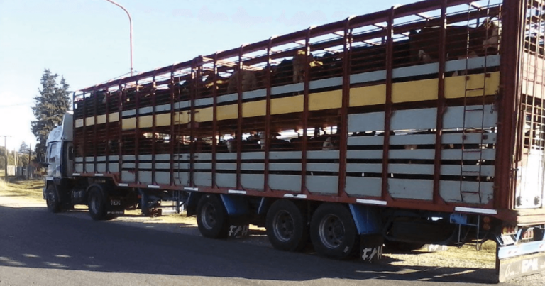 Transporte de carga, febrero, costos, 8%