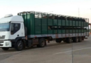 Transporte de carga, febrero, costos, 8%