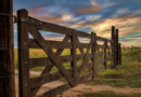 Campos, invertir, CAIR, Inmobiliarios rurales, impuestazos, Kicillof, Impuesto inmobiliario rural, Buenos Aires, CARBAP