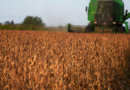 Cosecha, soja, 8 años, atraso, aumento, impuesto, combustible