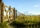 Inmobiliarios rurales, impuestazos, Kicillof, inmobiliario rural, Buenos Aires, blanqueo inmobiliario, afip, mercado inmobiliario rural