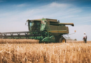 Luis Caputo, medidas, agro, exportaciones