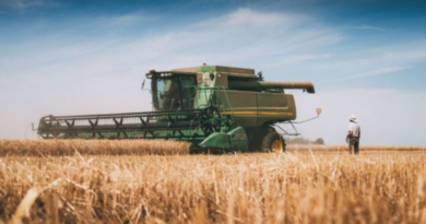 Luis Caputo, medidas, agro, exportaciones